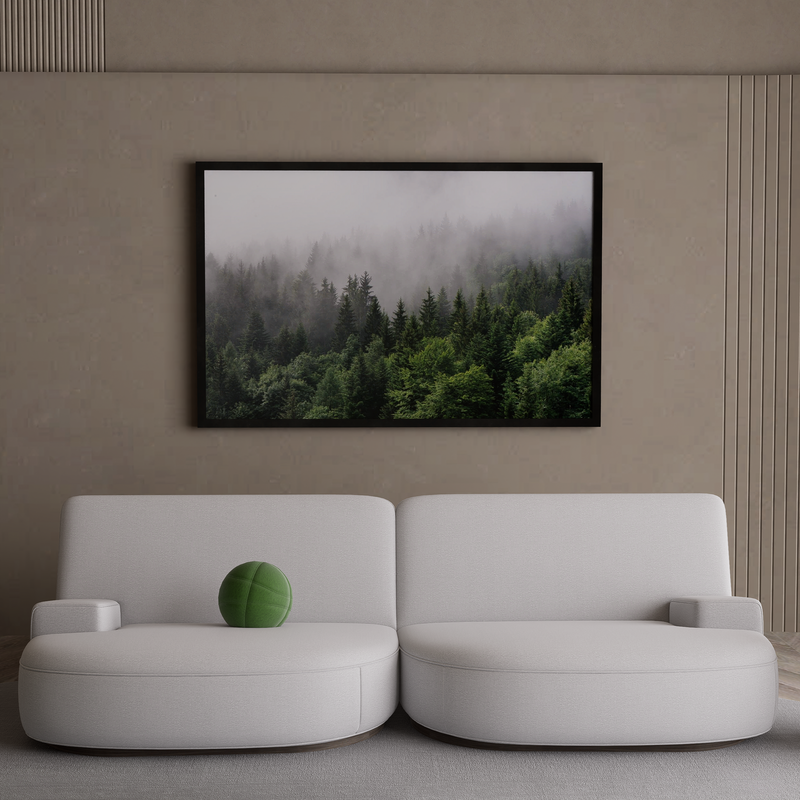 Foggy Forest