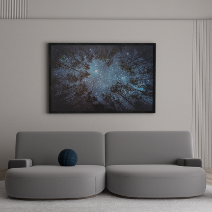 Starry Night Sky Forest Poster – Forest Night Stars Art
